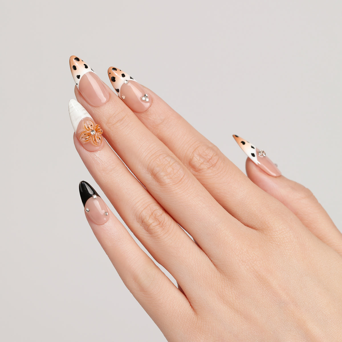 Cocoa Leopard French